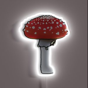Toad Stall Fly Agaric Amanita Muscaria RGB Neon Sign
