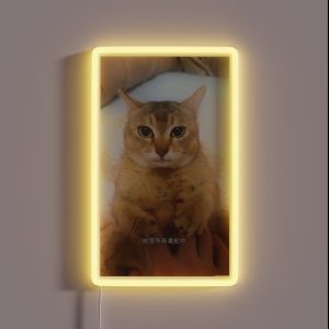 Tole Tole Vro Cat RGB Neon Sign Tole Tole Vro Cat RGB Neon Sign