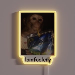 Tomfoolery Funny Monkey RGB Neon Sign