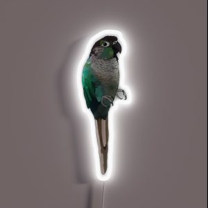 Turquoise Green Cheek Conure RGB Neon Sign