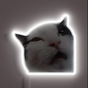 Uncomfortable Cat RGB Neon Sign