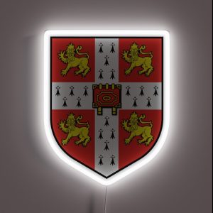 University Of Cambridge RGB Neon Sign