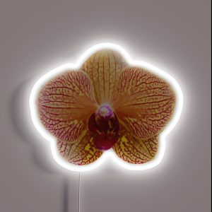 Vanda Orchid RGB Neon Sign