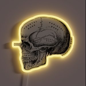 Vintage Anatomical Medical Skull Illustration RGB Neon Sign
