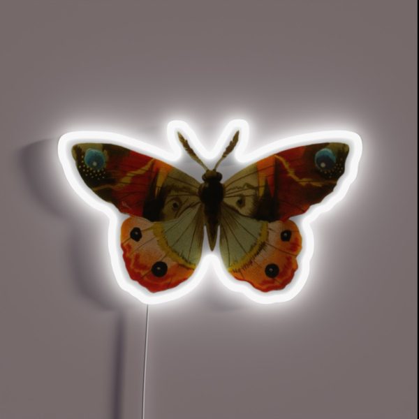 Vintage Butterfly RGB Neon Sign