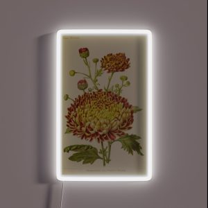 Vintage Chrysanthemum RGB Neon Sign Vintage Chrysanthemum RGB Neon Sign