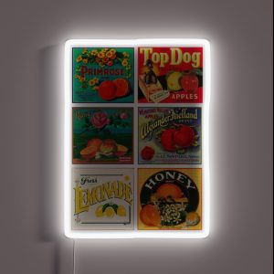 Vintage Labels Pack 3 RGB Neon Sign