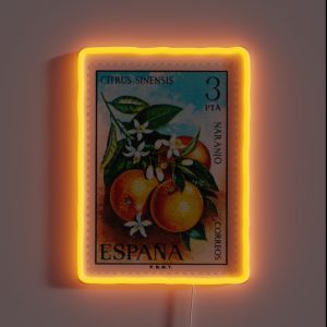Vintage Spain Stamp RGB Neon Sign