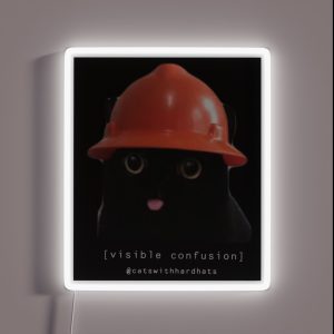 Visible Confusion RGB Neon Sign Visible Confusion RGB Neon Sign
