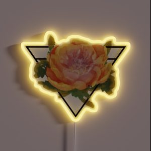 VIXX Shangri La Geometric RGB Neon Sign