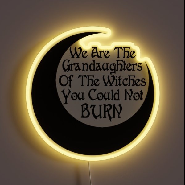 We Are The Grandaughters RGB Neon Sign