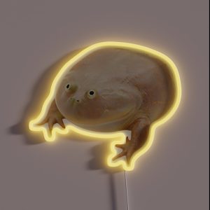 Wednesday Frog RGB Neon Sign