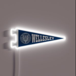 Wellesley Pennant RGB Neon Sign