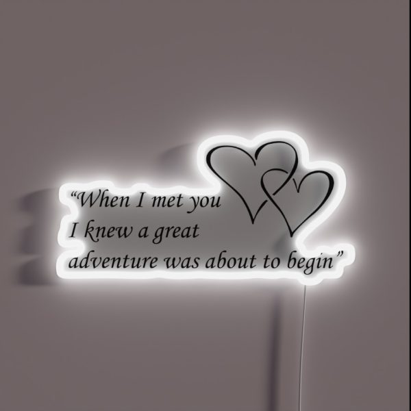 When I Met You I Knew A Great Adventure Was RGB Neon Sign