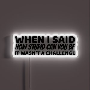 When I Said How Stupid Can You Be RGB Neon Sign When I Said How Stupid Can You Be RGB Neon Sign