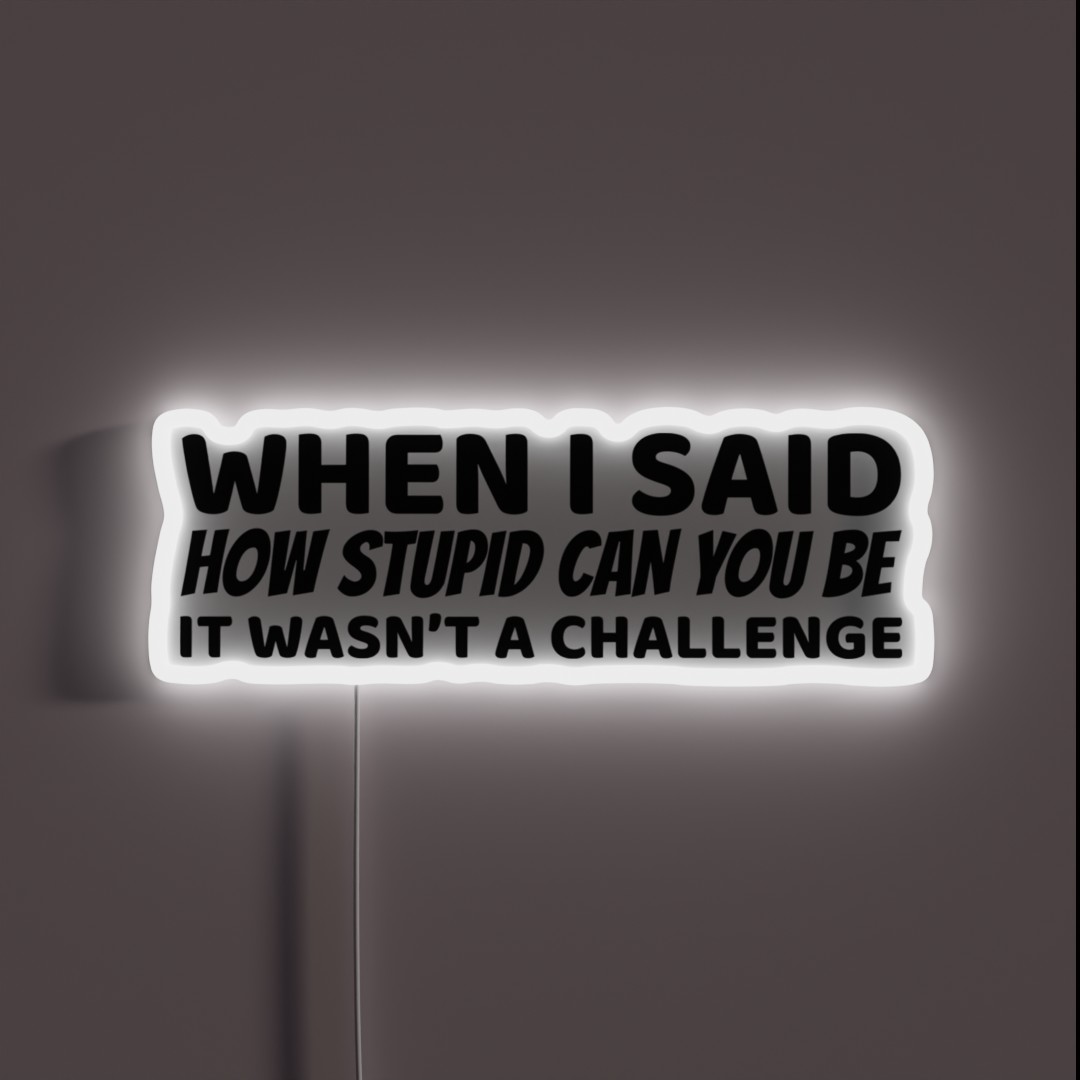When I Said How Stupid Can You Be RGB Neon Sign When I Said How Stupid Can You Be RGB Neon Sign