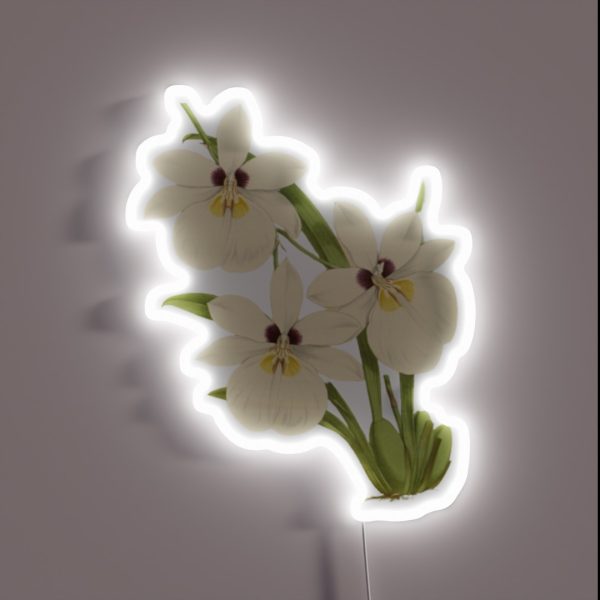 White Orchid Botanical Illustration RGB Neon Sign