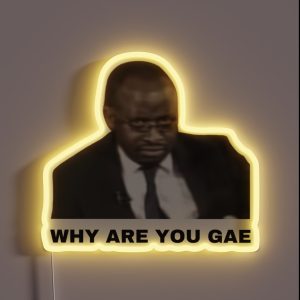 Why Are You Gae Meme Uganda Gay Rights Interview Viral Video RGB Neon Sign