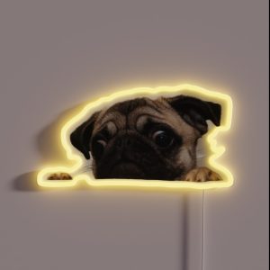 Worried Pug RGB Neon Sign Worried Pug RGB Neon Sign