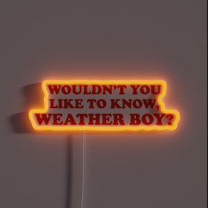 Wouldn T You Like To Know WEATHER BOY RGB Neon Sign