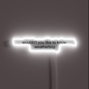 Wouldn T You Like To Know Weatherboy Vine RGB Neon Sign