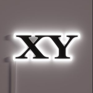 XY Chromosomes RGB Neon Sign