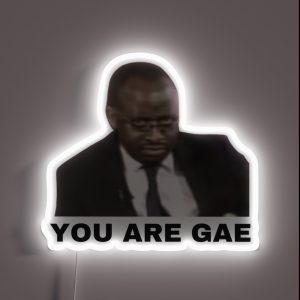 You Are Gae Meme Uganda Gay Rights Interview Viral Video RGB Neon Sign