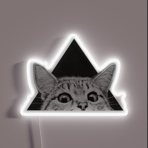 You Asleep Yet RGB Neon Sign