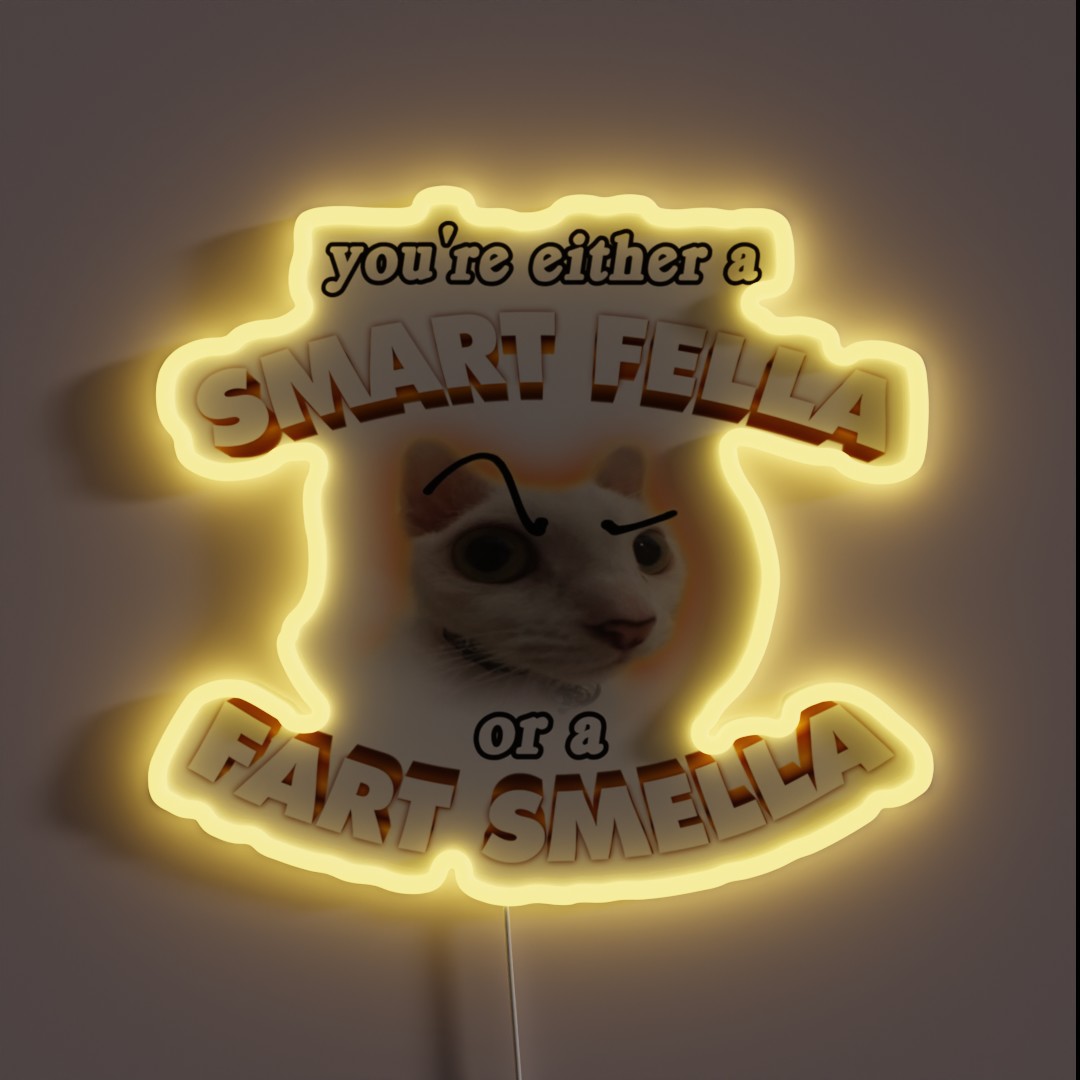 You Re A Smart Fella Or A Fart Smella RGB Neon Sign You Re A Smart Fella Or A Fart Smella RGB Neon Sign