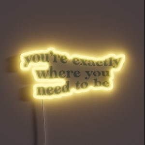 You Re Exactly Where You Need To Be RGB Neon Sign