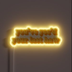YOU VE YEE D YOUR LAST HAW RGB Neon Sign YOU VE YEE D YOUR LAST HAW RGB Neon Sign