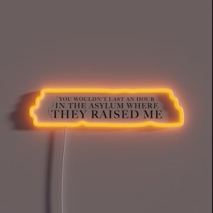 You Wouldn T Last An Hour In The Asylum Where They Raised Me RGB Neon Sign
