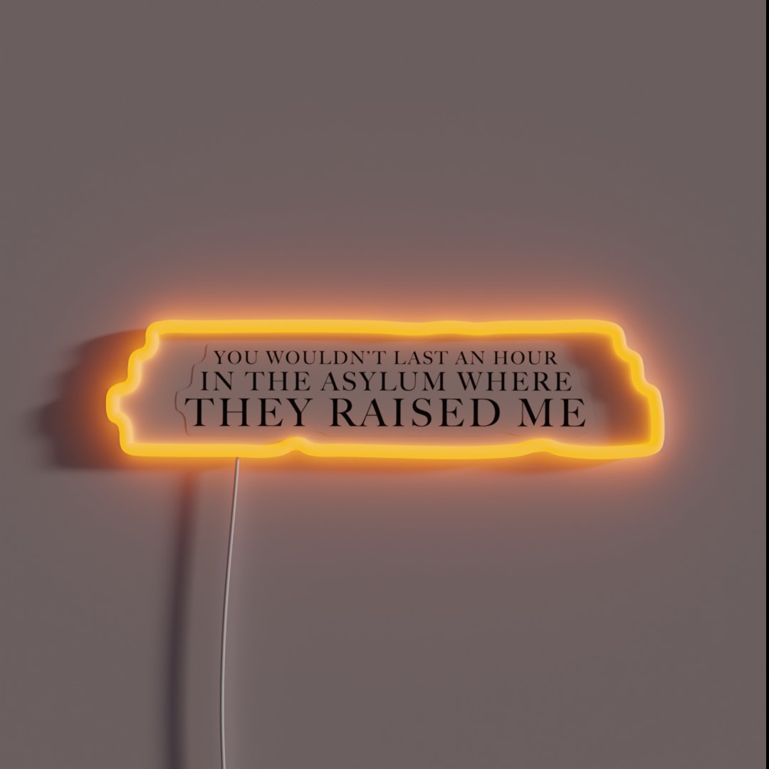 You Wouldn T Last An Hour In The Asylum Where RGB Neon Sign You Wouldn T Last An Hour In The Asylum Where RGB Neon Sign