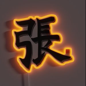 Zhang Surname RGB Neon Sign