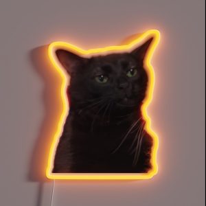 Zoned Out Cat RGB Neon Sign